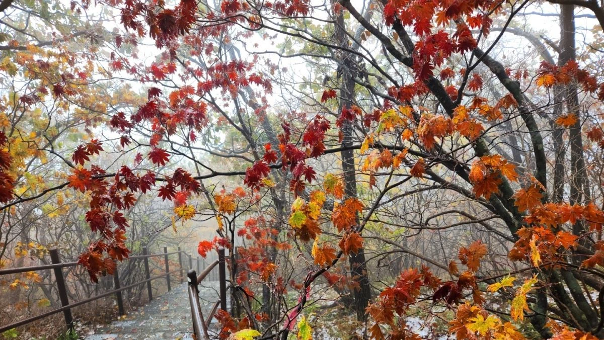 치악산 비로봉 정상. / 치악산국립공원 제공