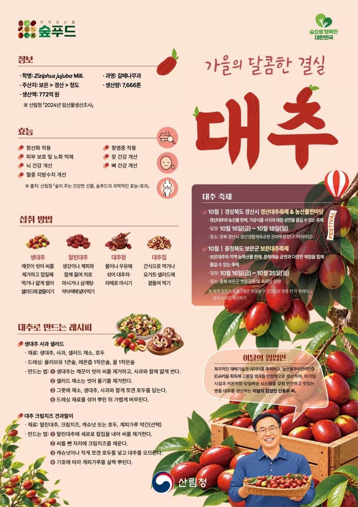 산림청은 14일 '10월 이달의 임산물'로 대추를 선정했다고 밝혔다. / 산림청 제공