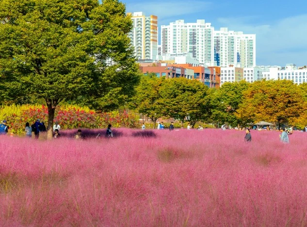하남시 미사경정공원 / 하남시 인스타그램