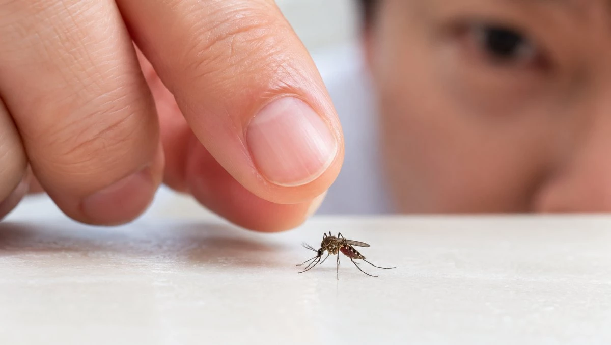 모기를 잡으려는 사람. 기사 이해를 돕기 위해 AI툴로 생성한 자료사진.