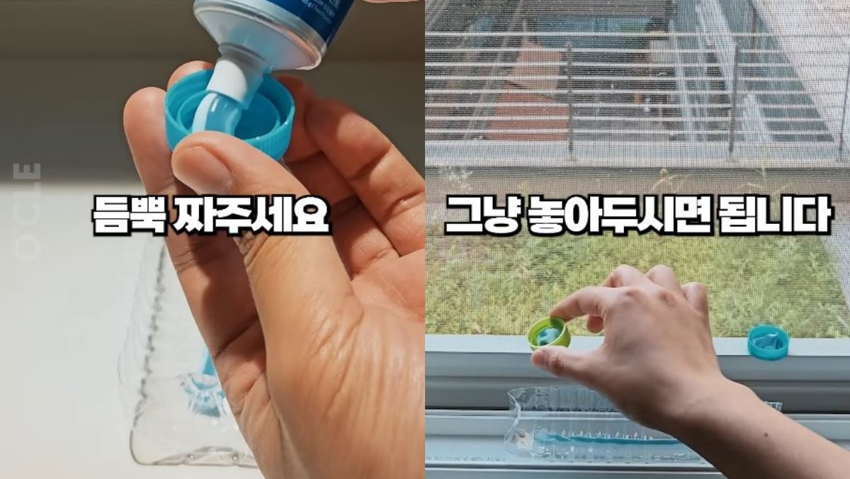 병뚜껑과 페트병에 치약을 짜서 창틀에 두는 모습. / 유튜브 '살림연구소 오클'