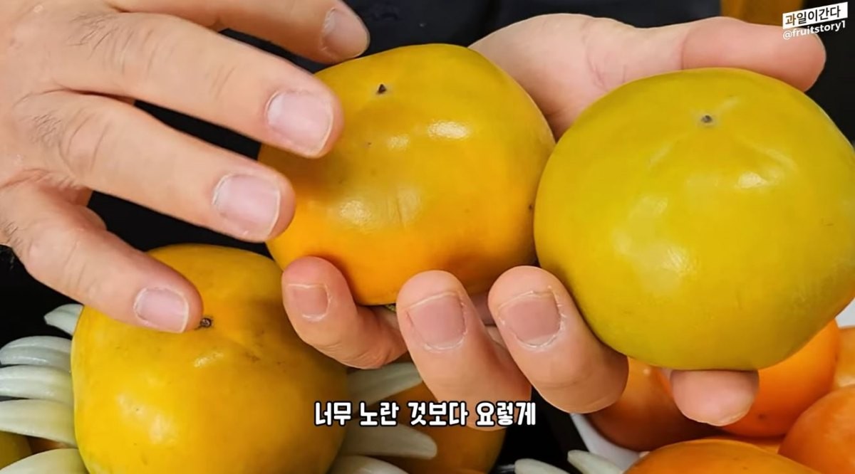 단감을 고르는 모습. 노르스름한 바탕에 약간의 녹색 기운이 있고 거무스름한 빛도 살짝 도는 단감이 더 맛있다. / 유튜브 '과일이간다'
