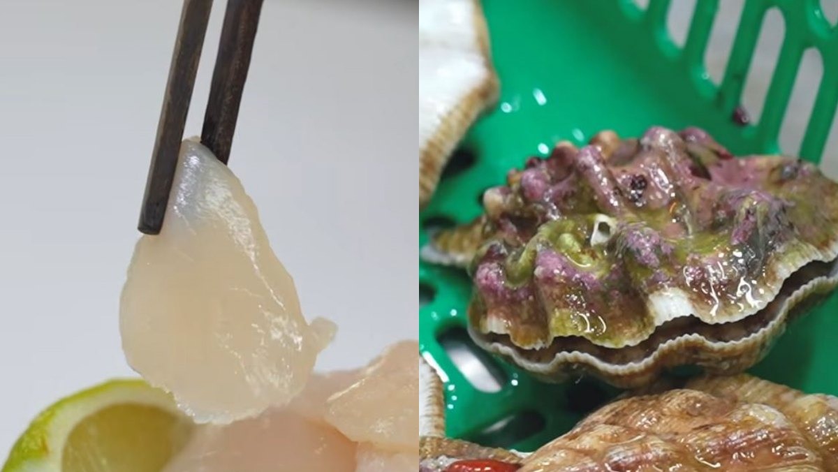 국내서 가장 비싸고 맛있다는 가리비, 정말 맛있나…전문가가 직접 먹어보니
