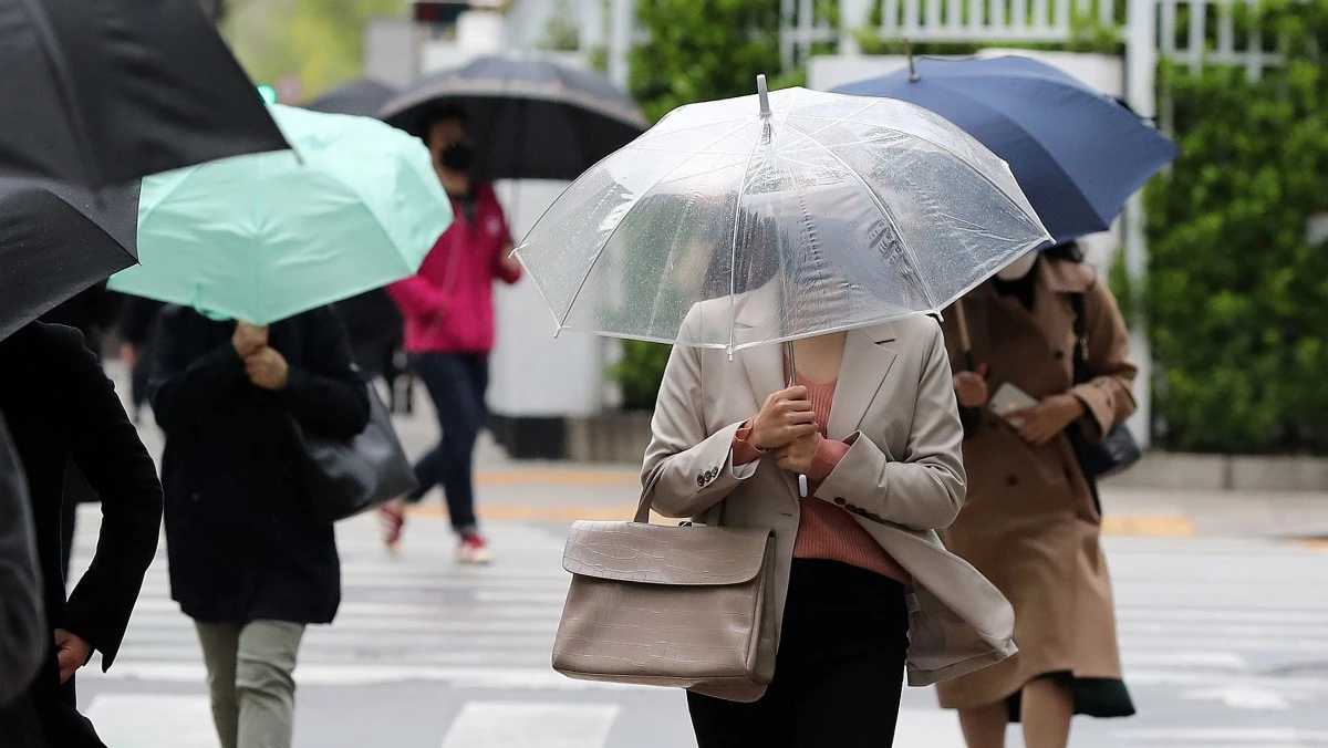기사의 이해를 돕기 위한 사진 / 뉴스1