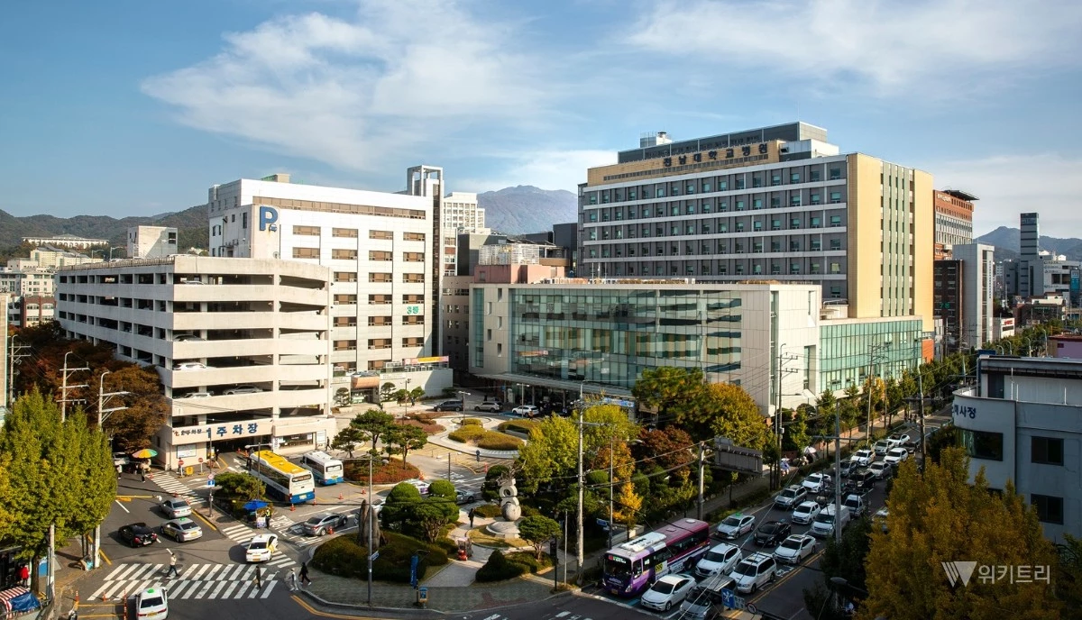 골든타임 사수 1등 공신… 전남대병원, 심뇌혈관질환 대응 2년 연속 ‘합격점’