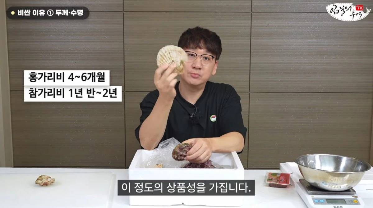 홍가리비와 참기리비 등과 함께 고랑가리비를 비교하는 모습. / 유튜브 '입질의추억TV jiminTV'