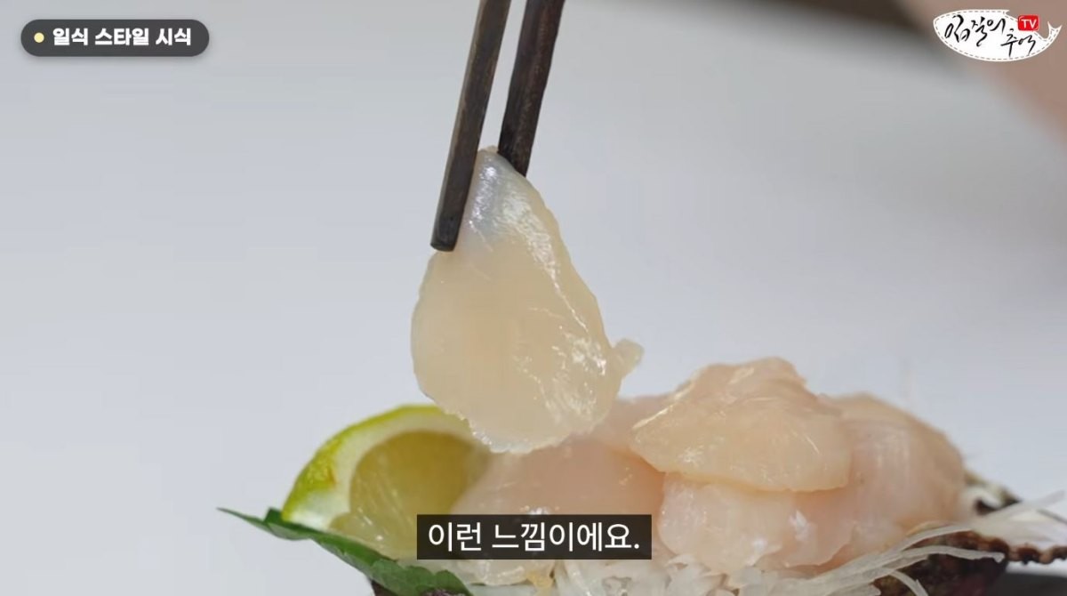 일본식으로 손질한 고랑가리비. / 유튜브 '입질의추억TV jiminTV'