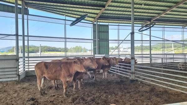 축사시설 47곳 사전점검 / 정읍시