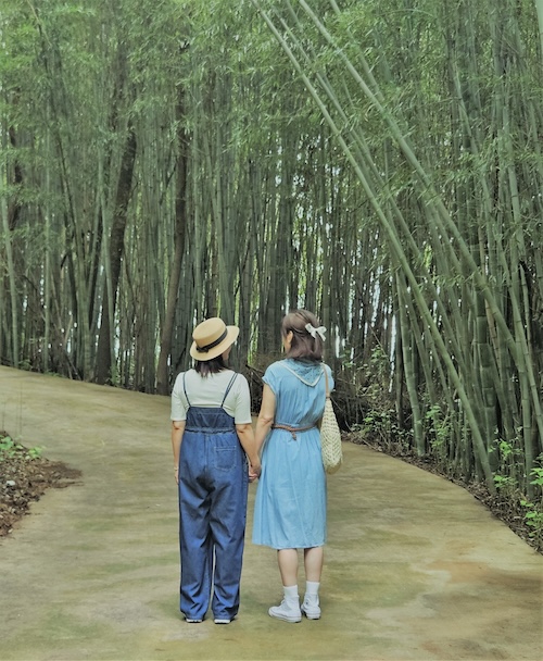 익산 치유농장…숲속 쉼으로 몸과 마음 돌본다