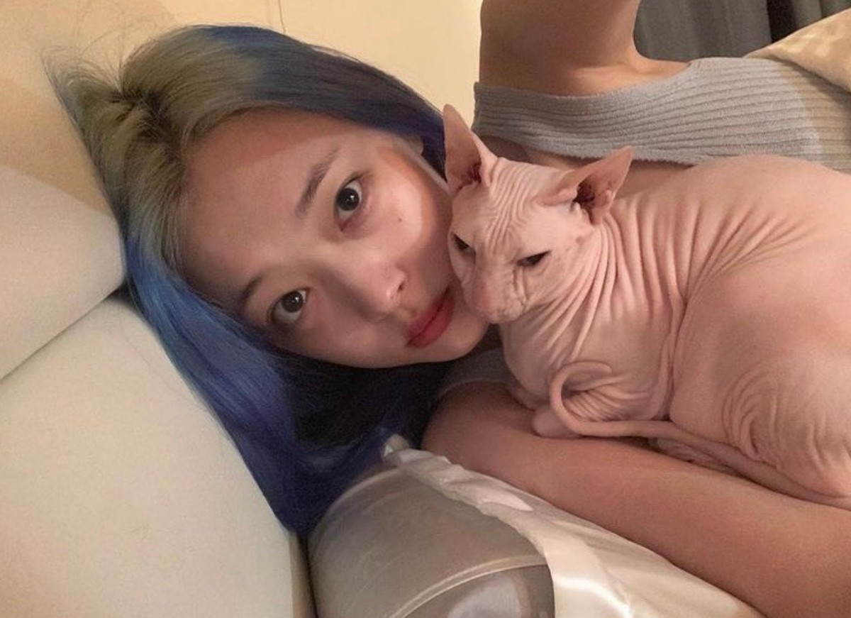 설리와 반려묘 고블린 / 김선아 인스타그램