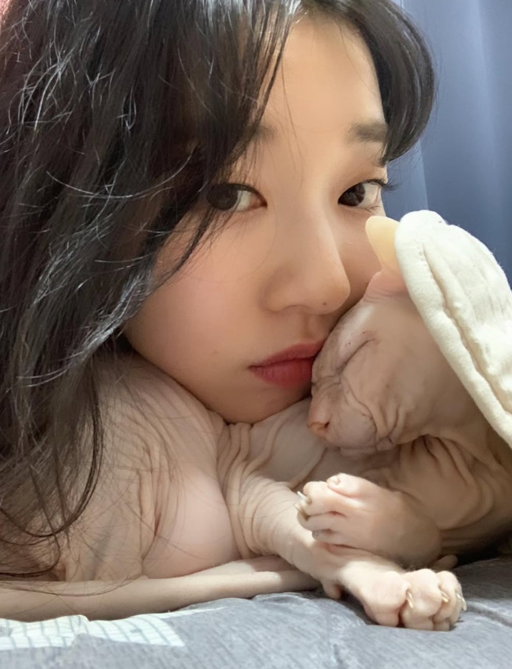 설리 반려묘 고블린을 입양한 배우 김선아 / 김선아 인스타그램