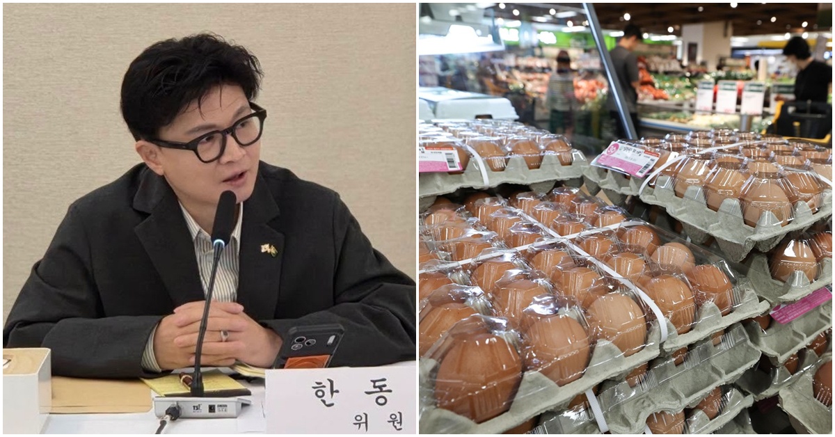 한동훈 “브라질 계란, 룰라 위한 선물…그 룰라 10월 25일 낙선한다는데“