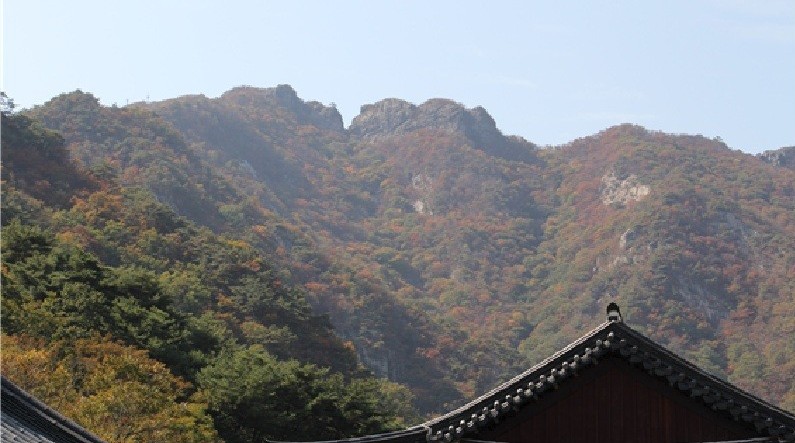 계룡산 단풍, 발걸음 빨라졌다...작년보다 여드레 앞서