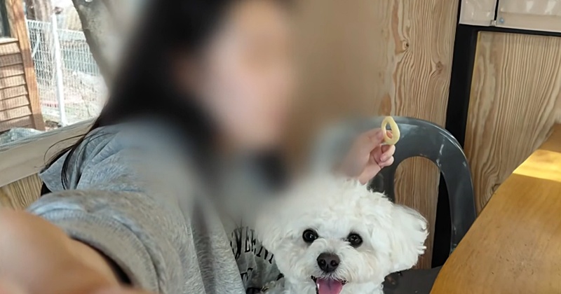 인천 칼부림 피해자, 새벽 알바하며 유치원 교사 꿈꾸던 '스무 살' (영상)