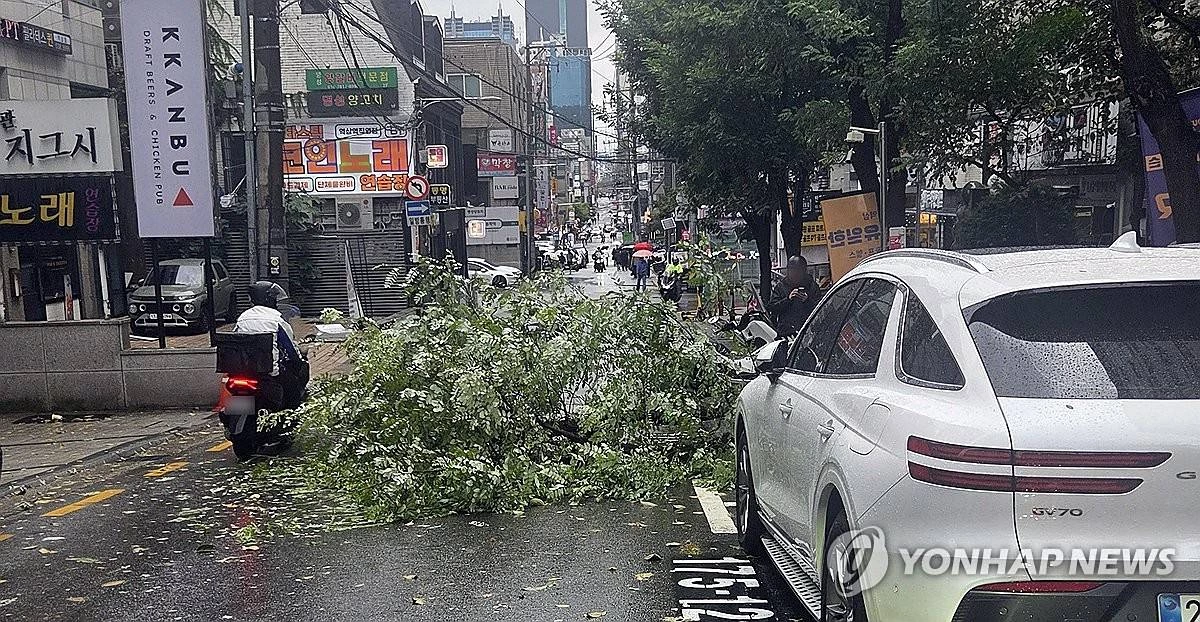 전국 대부분 지역에 돌풍을 동반한 가을비가 내리는 18일 서울 강남구 역삼동의 한 거리에 돌풍으로 가로수가 쓰러져있다 / 연합뉴스
