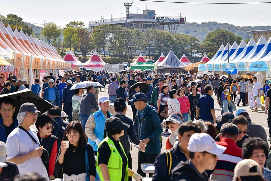 '악천후에도 인삼 8.3톤 완판' 파주개성인삼축제, 흥행 마무리