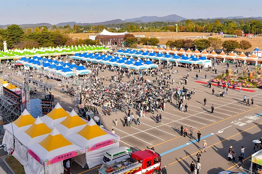'악천후에도 인삼 8.3톤 완판' 파주개성인삼축제, 흥행 마무리