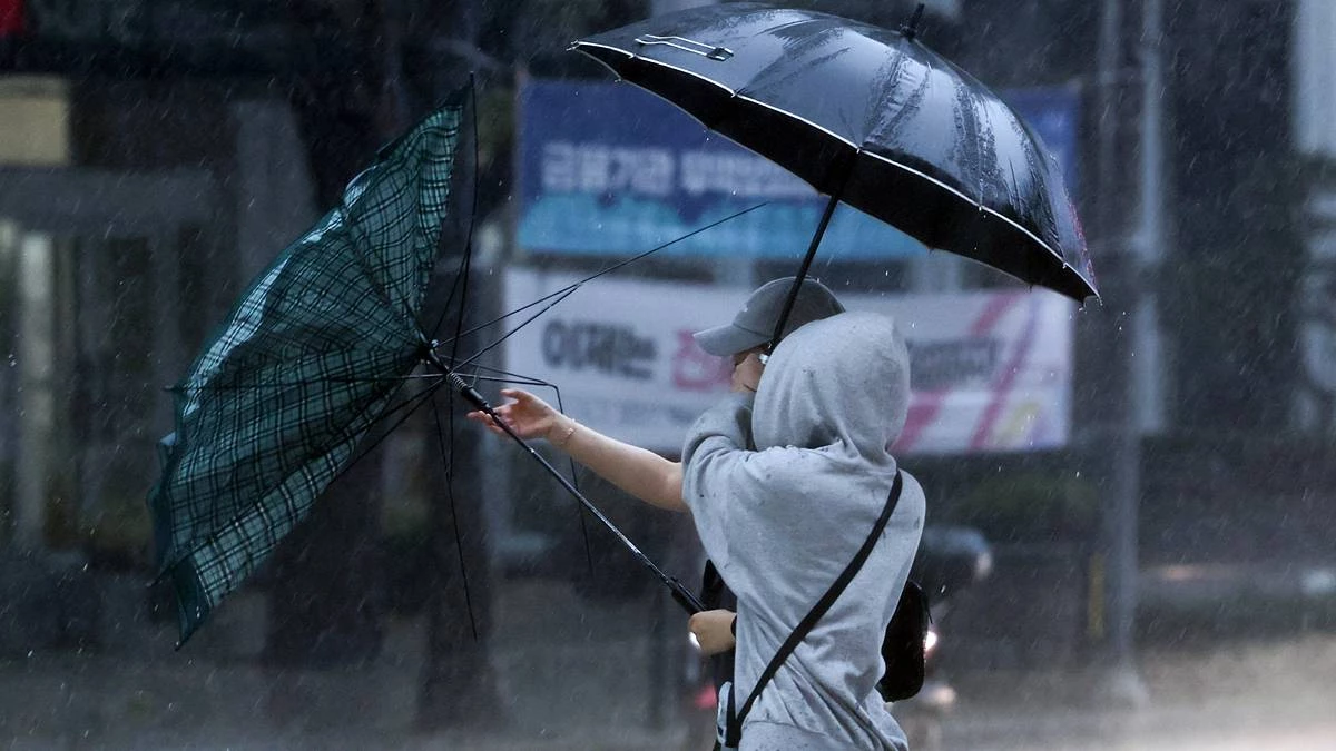 중부 지방에 강풍을 동반한 강한 비가 내리는 지난 18일 서울 종로구 종로1가 일대에서 시민들의 우산이 강한 바람에 뒤집혀 있다 / 뉴스1