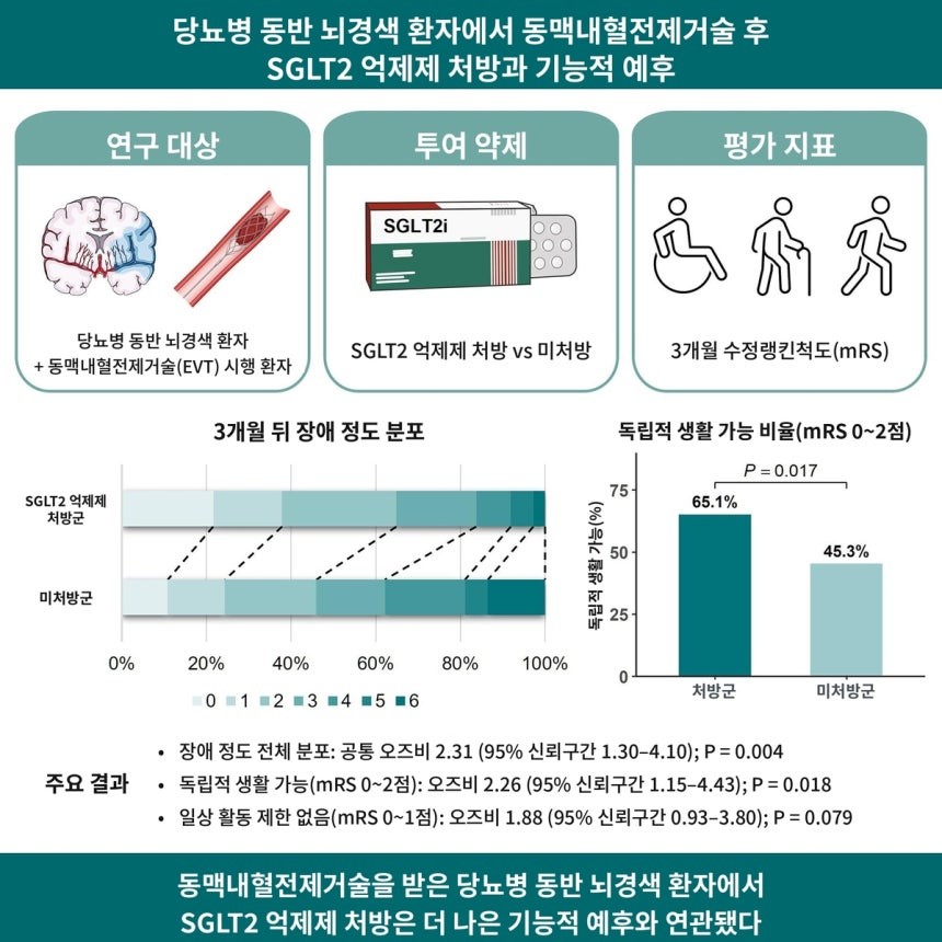막힌 뇌혈관을 시술로 뚫고도 후유장애가 남는 당뇨병 동반 뇌경색 환자에게 당뇨병 치료제가 회복을 돕는다는 국내 연구팀의 연구 결과가 나왔다. 연구 결과에 따르면 당뇨병 치료제인 'SGLT2 억제제'를 처방받은 뇌경색 환자는 처방받지 않은 환자보다 석 달 뒤 다른 사람의 도움 없이 독립적으로 생활하는 비율이 높은 것으로 나타났다. / 서울대병원 제공