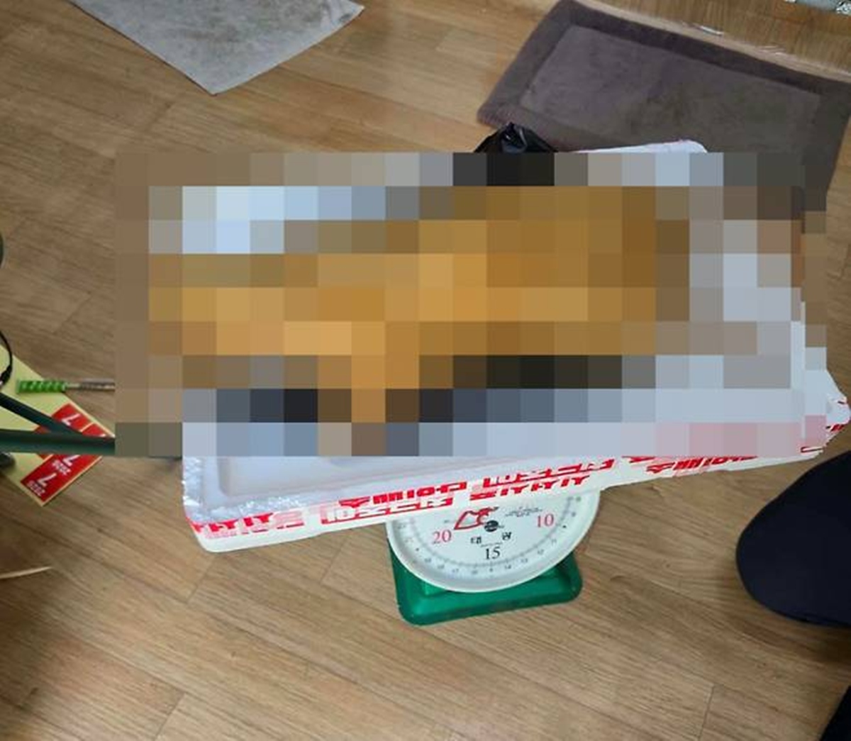 이하 고양이 판매 게시글. / 페이스북