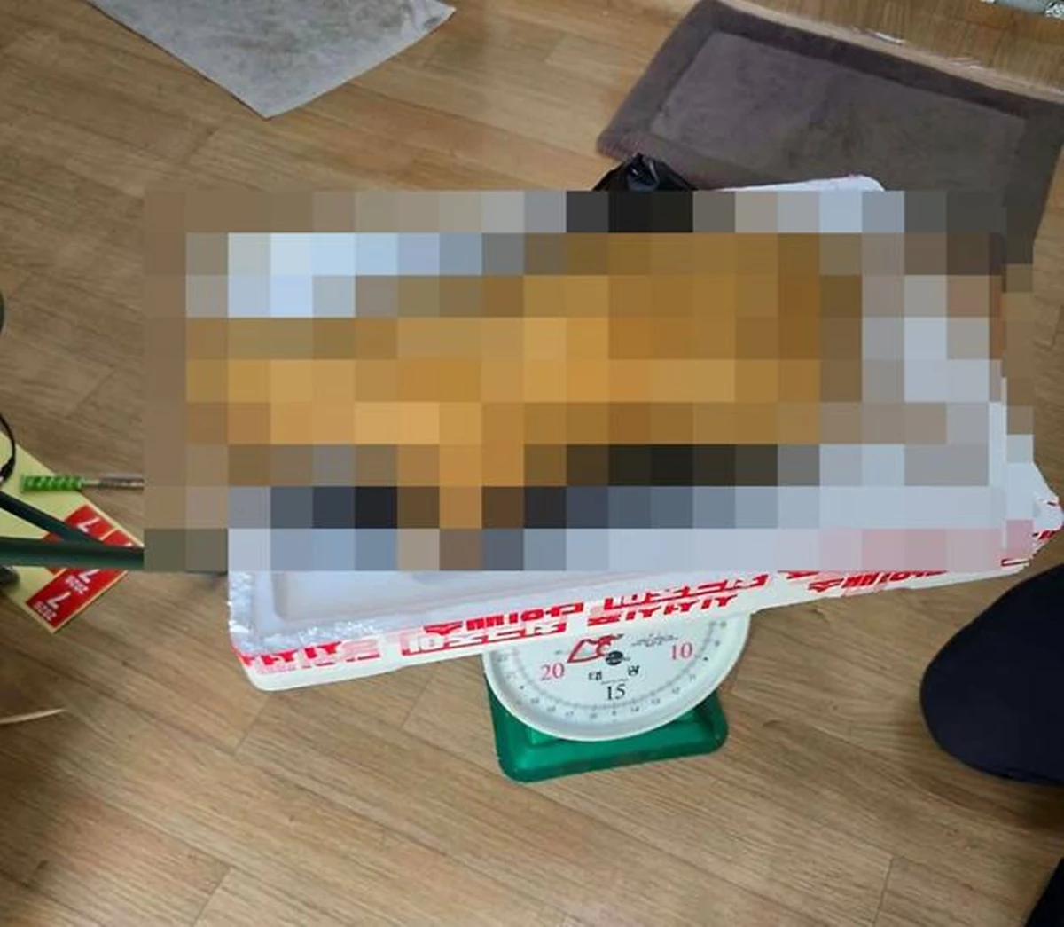 이하 고양이 판매 게시글. / 페이스북