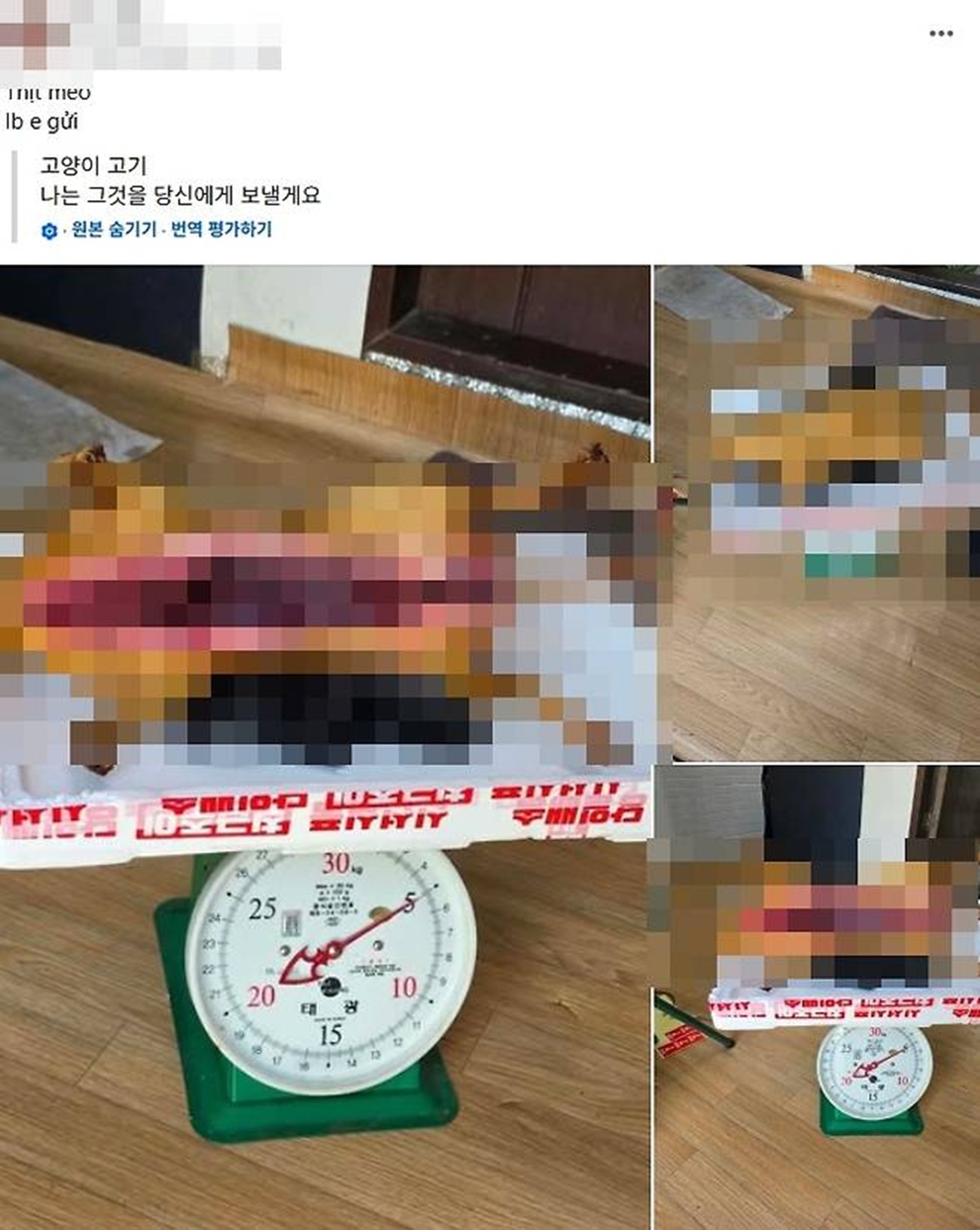 페이스북