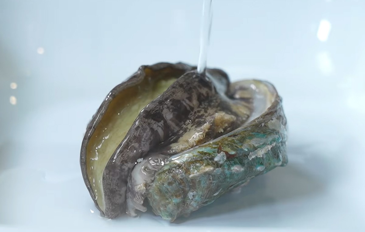전복 손질 별거 없어요... 살아 있는 전복에 딱 '10초'만 부어보세요
