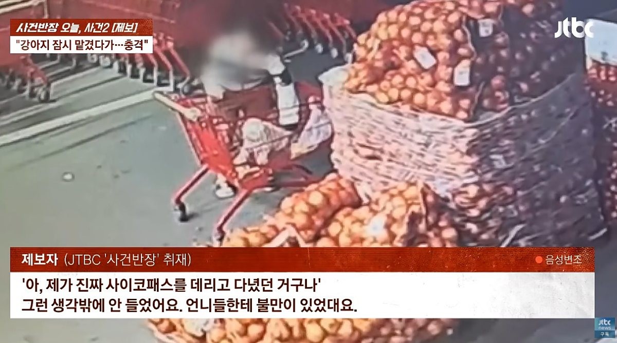 A 씨에 따르면 B 씨는 뒤늦게 언니가 자신을 차별하고 명령조로 말해 서운했다며 화풀이로 강아지를 학대했다고 털어놨다. / 유튜브 'JTBC News'