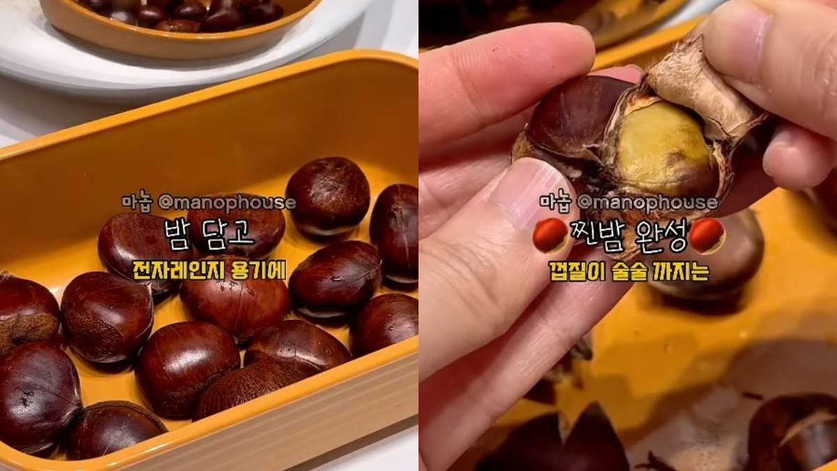 칼집낸 밤을 전자레인지 전용 용기에 넣고 그 위에 키친타월을 덮고 전자레인지용 랩으로 감싼 후 전자레인지에 2분 돌린다. 그러면 껍질이 잘 까지는 밤이 완성된다. / 유튜브 '마놉 레시피'
