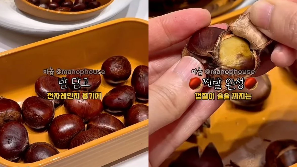 칼집낸 밤을 전자레인지 전용 용기에 넣고 그 위에 키친타월을 덮고 전자레인지용 랩으로 감싼 후 전자레인지에 2분 돌린다. 그러면 껍질이 잘 까지는 밤이 완성된다. / 유튜브 '마놉 레시피'