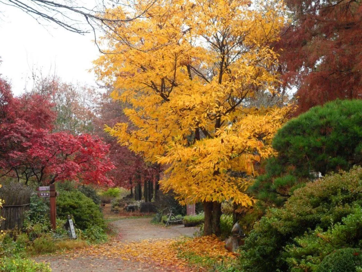 경북 포항의 ‘기청산식물원’. / 산림청 제공