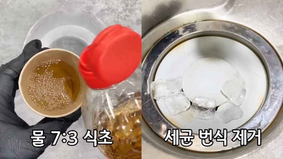 물과 식초를 7:3 비율로 섞은 물을 얼음으로 만든 후 하수구 냄새 제거용으로 사용한다. / 유튜브 '꿀잼미니'