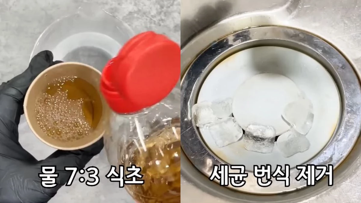 물과 식초를 7:3 비율로 섞은 물을 얼음으로 만든 후 하수구 냄새 제거용으로 사용한다. / 유튜브 '꿀잼미니'