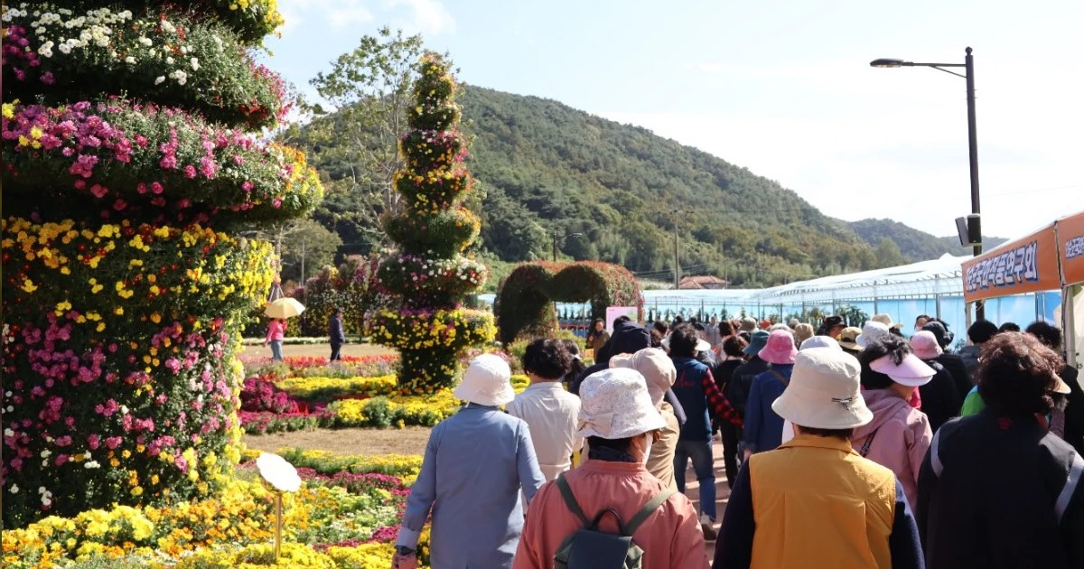 화순군은 ‘2026 세계문화유산 화순 고인돌 가을꽃 축제’가 끝난 뒤에도 유적지 일대 꽃 전시를 11월 15일까지 이어간다. / 화순군