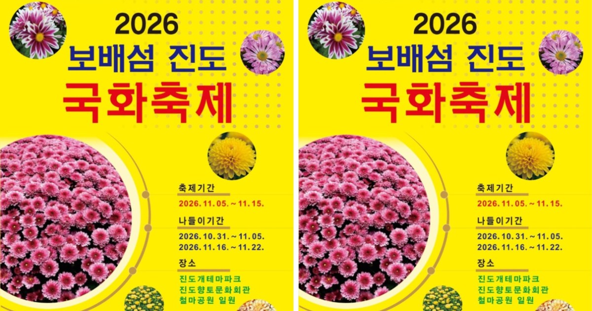 16만 송이 황금빛 유혹… 진도 보배섬, 가을 동화 속으로 완벽 다이빙