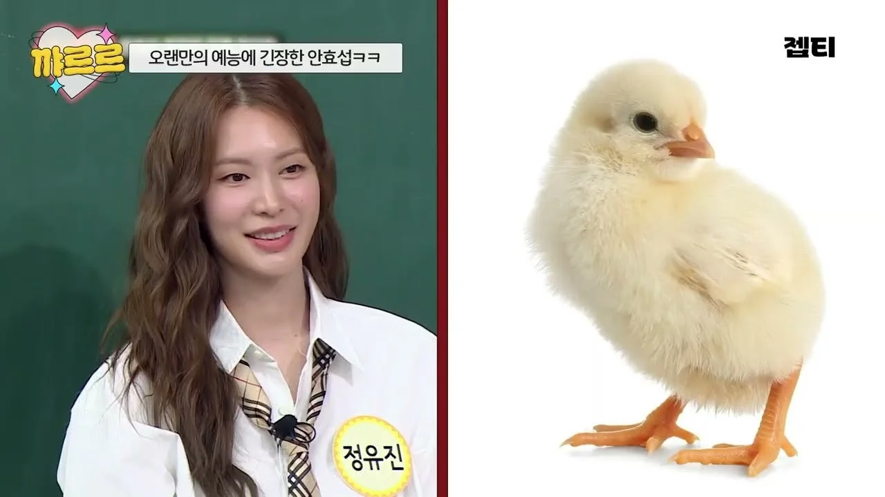 예능 '아는 형님' 영상 화면 (영상=JTBC Voyage)