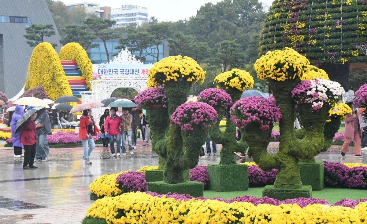 주말인 24일, 함평 엑스포공원 일대에는 아침부터 추적추적 가을비가 내렸다.이날 관광객들이 우산을 쓰고 기념사진을 촬영하면서 가을정취를 만끽했다. / 노해섭 기자