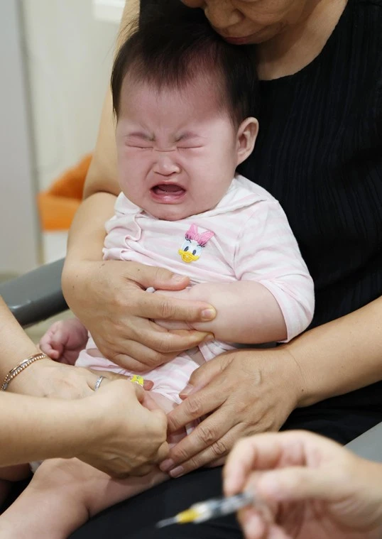 고령층의 면역 반응을 고려해 개발된 백신 중 하나가 고용량 인플루엔자 백신이다. / 뉴스1