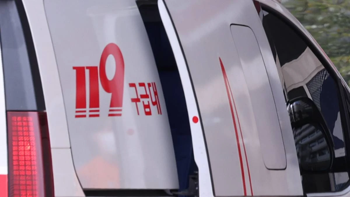 119 / 뉴스1