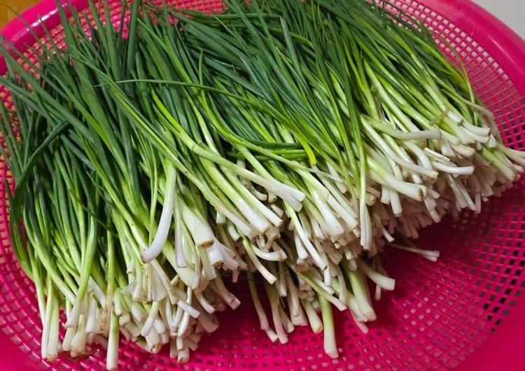 치매를 앓고 있는 남성이 아내가 외출한 동안 4시간에 걸쳐 손질한 쪽파 / 스레드(@miji740000), 뉴스1