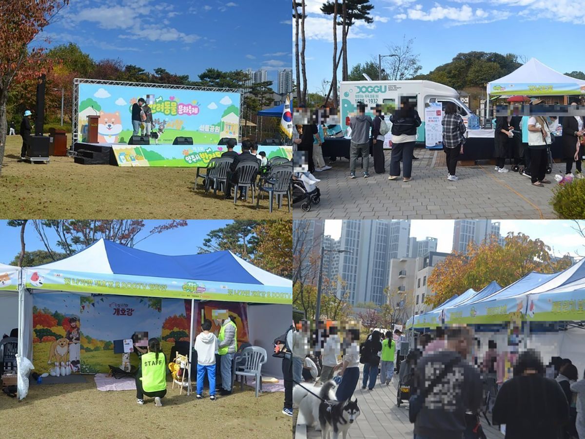 집 앞까지 찾아오는 '은이온수 반려견 목욕차'