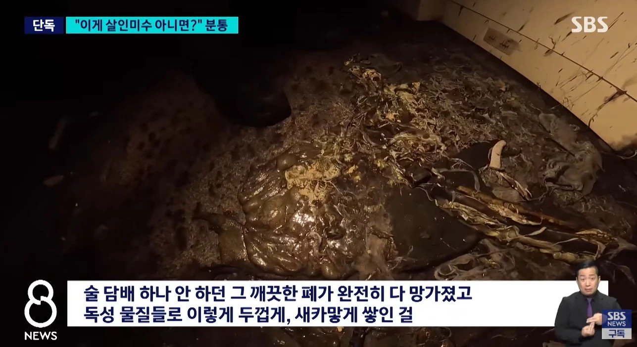 유튜브 'SBS 뉴스'