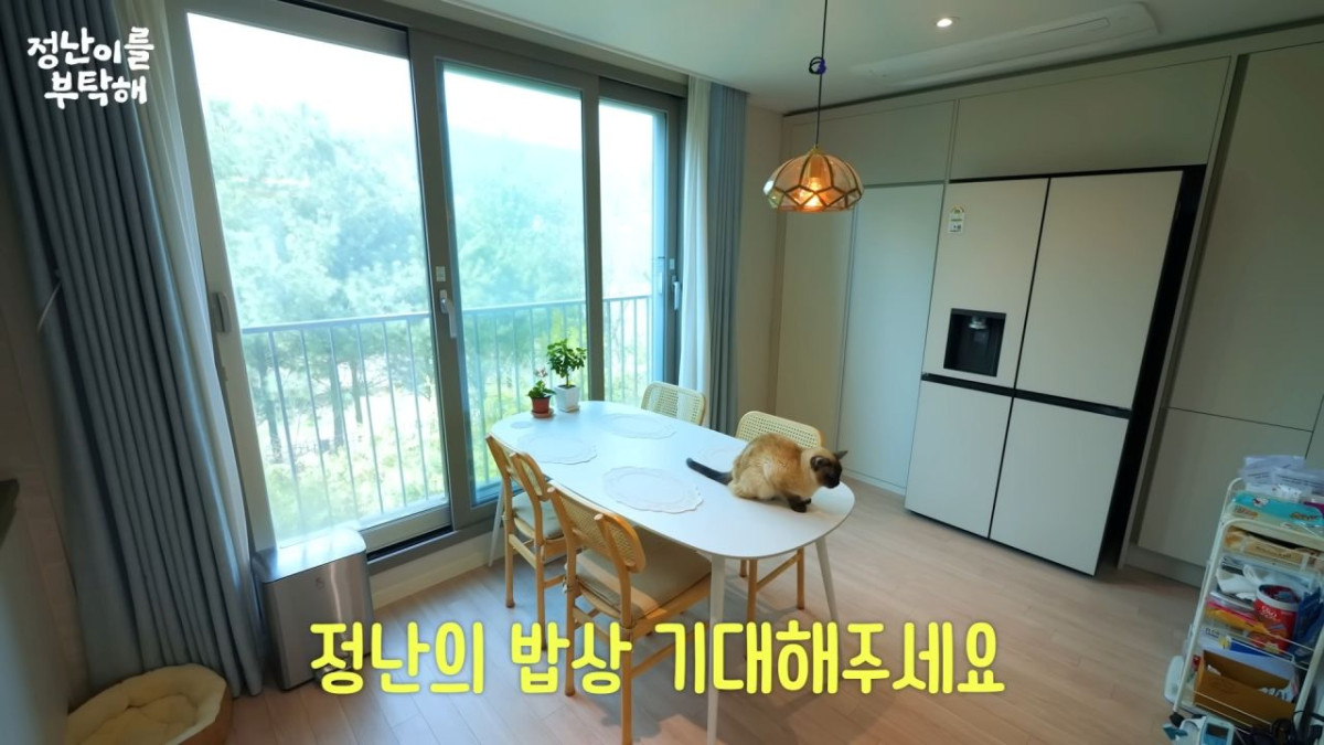김정난 타운하우스. / 유튜브 '김정난'