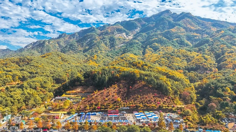 '단풍 절정에 관광객 8000명' 포천시 운악산, 가을 명소 입증