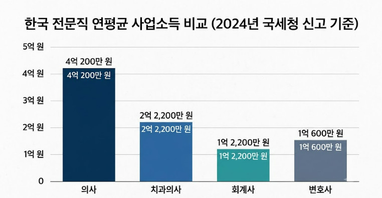 전문직 연평균 사업소득 / 단순 자료 사진. 기사 이해를 돕기 위해 AI로 제작한 이미지.