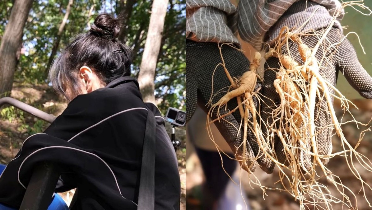 산에서 장갑 끼고 “심봤다” 외친 49세 여배우… 정말 대단하다