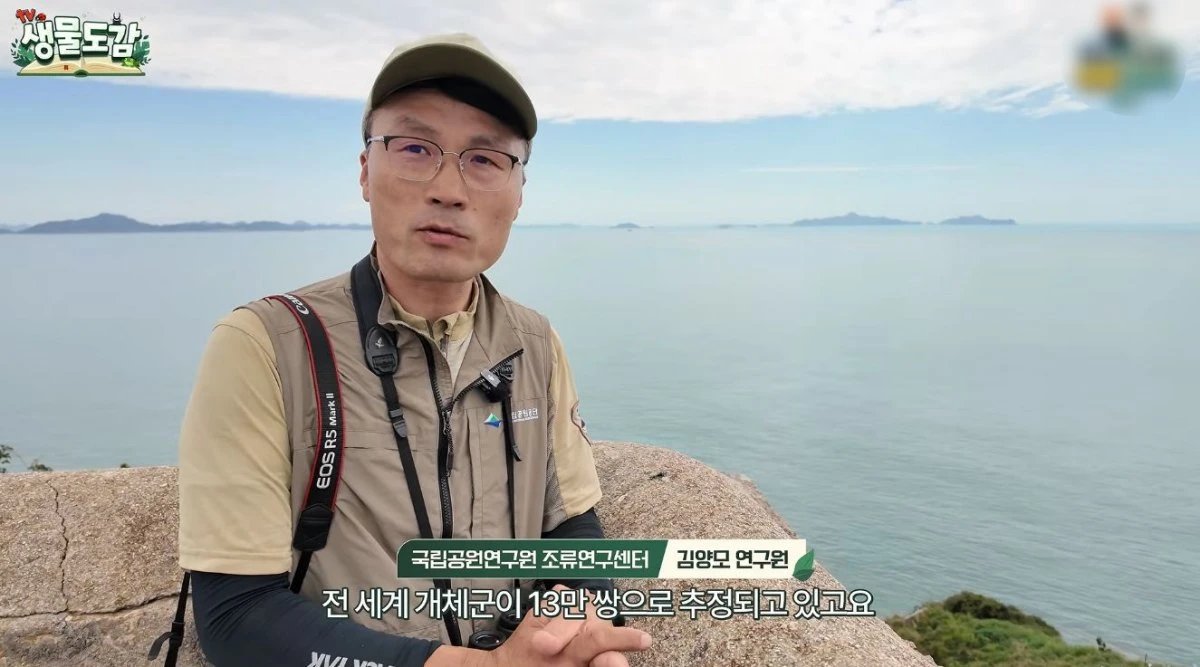 바다제비에 대해 설명하는 국립공원연구원 조류연구센터 김양모 연구원. / 유튜브 'TV생물도감'