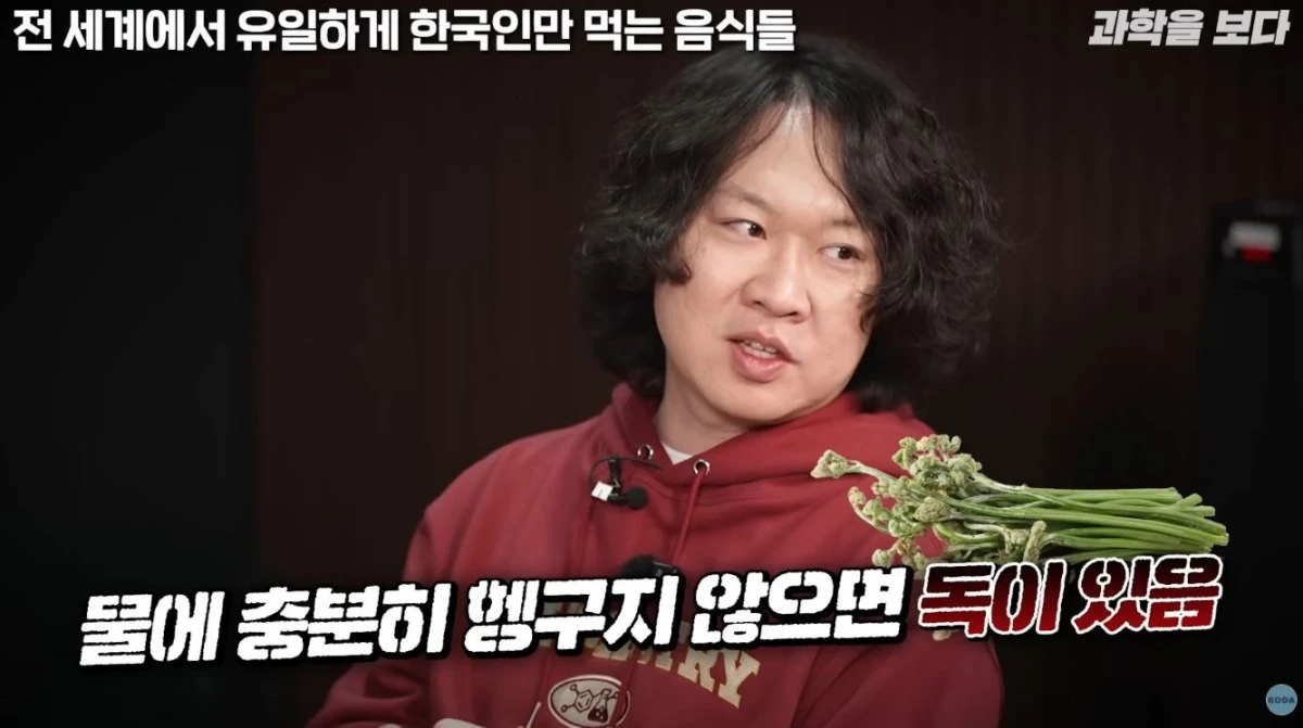 고사리에 대해 설명하는 출연진. / 유튜브 '보다 BODA'