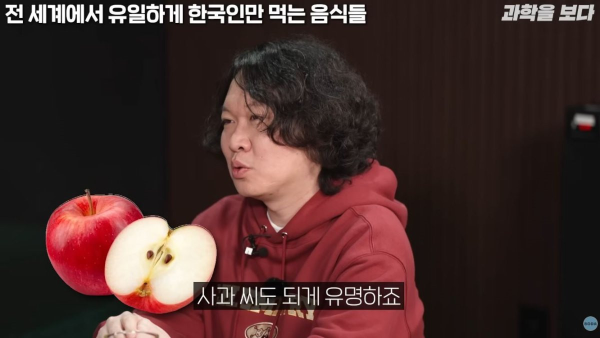 사과씨 독성에 대해 설명하는 출연진. / 유튜브 '보다 BODA'