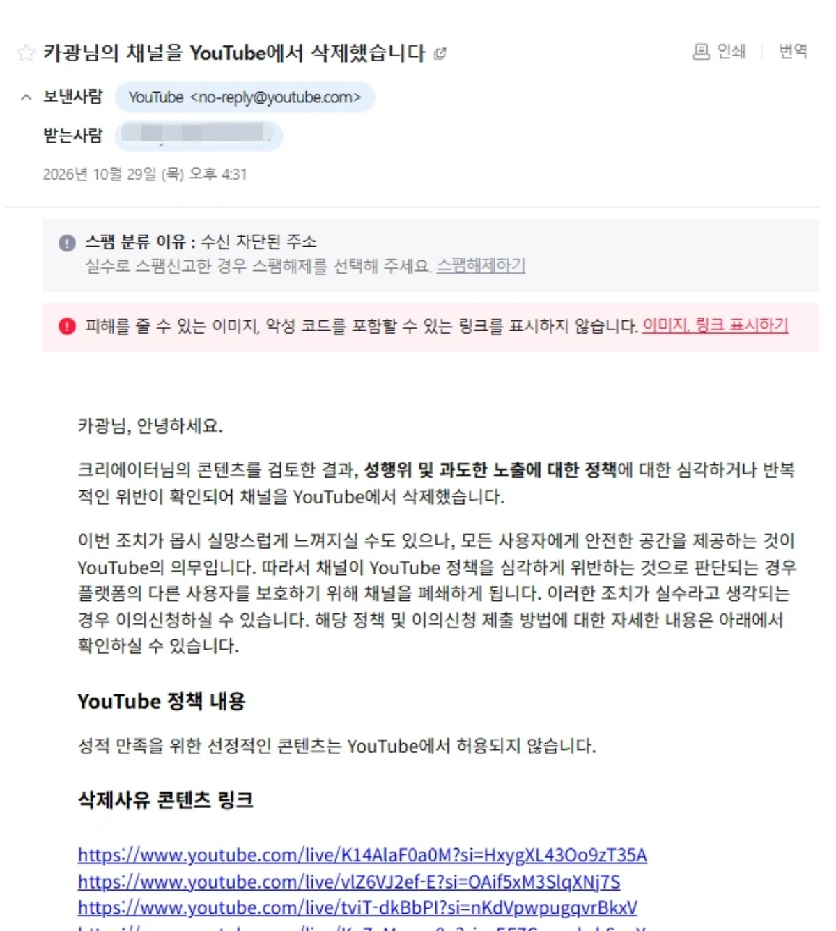 유튜버 카광이 공개한 유튜브 채널 삭제 통보 이메일. 유튜브 측은 성행위 및 과도한 노출 관련 정책 위반을 삭제 사유로 안내했다. / 카광놀이터 캡처